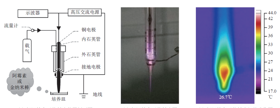 等离子体技术专题